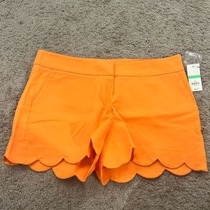 NWT Crown & Ivy Orange Shorts